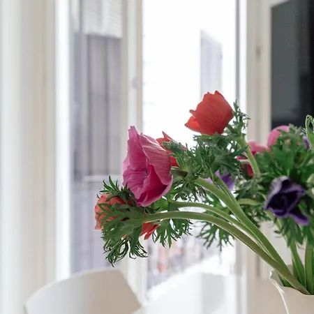 Tritone Minimal Appartement